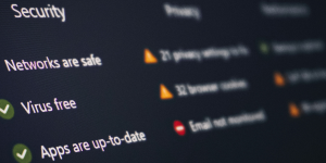 Website securiety