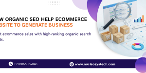 organic SEO help Ecommerce